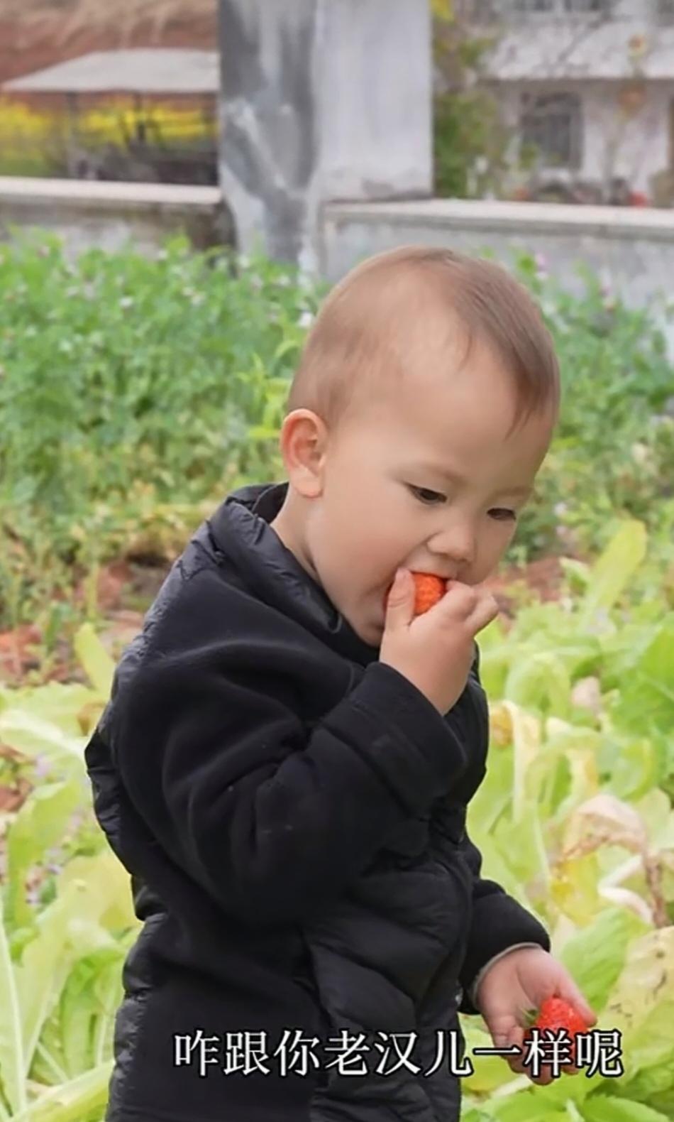 小妹儿要放心了。小成成被爸爸这么照顾得很好，
那些不安好心的粉丝总是在挑小成成与