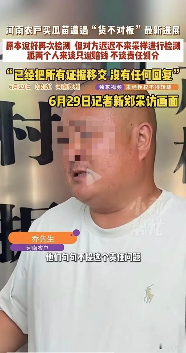 河南新郑，农户乔先生买了瓜苗种西瓜，多天后发现货不对板，几个月的辛苦与汗水付之东