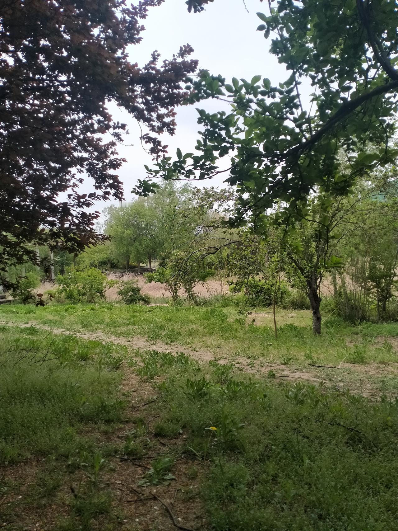 美景图片大家拍