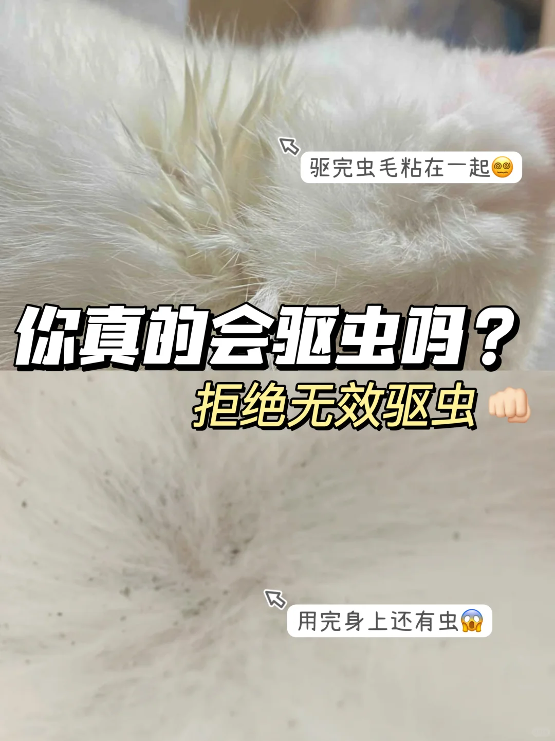 驱虫进化史！完美驱虫我来了！