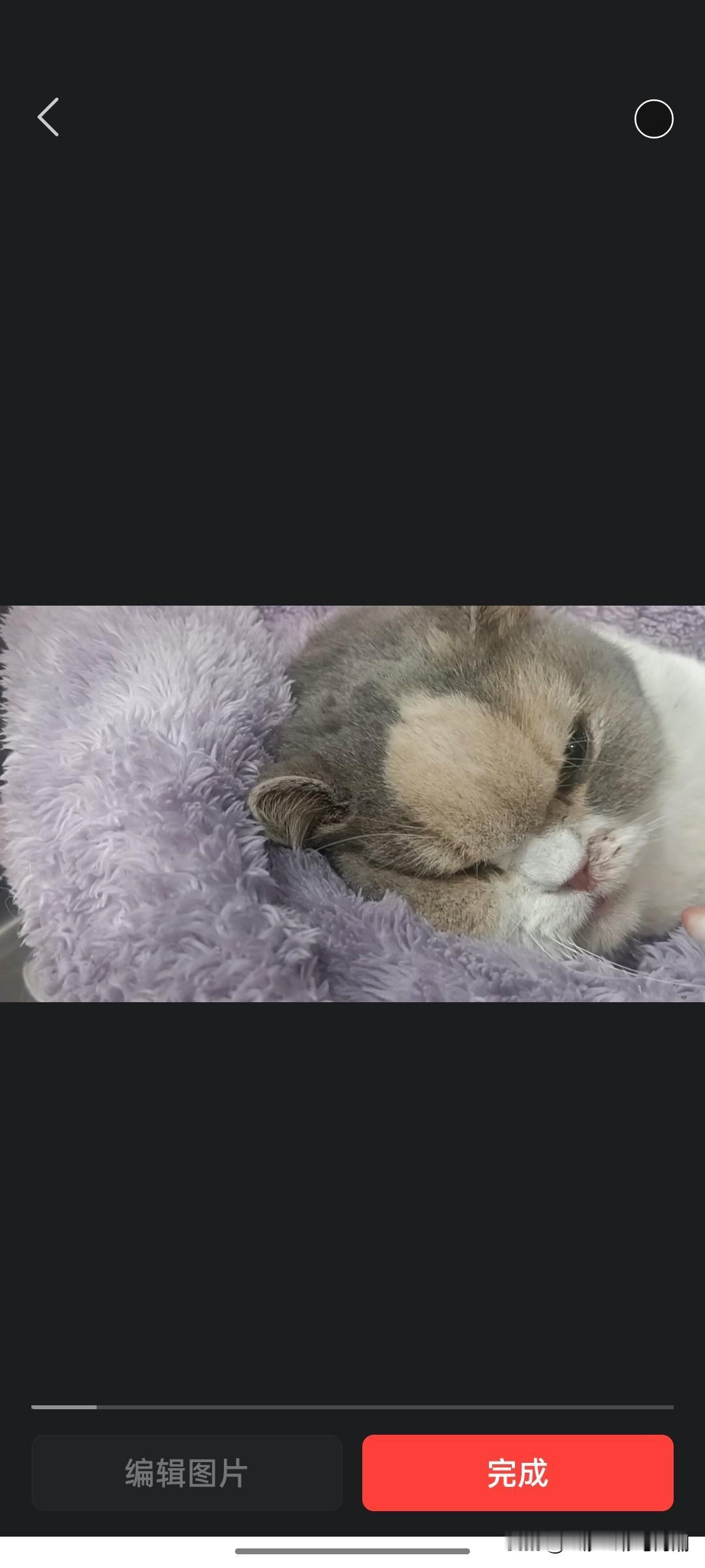 我想如意了[流泪]……
我的如意……