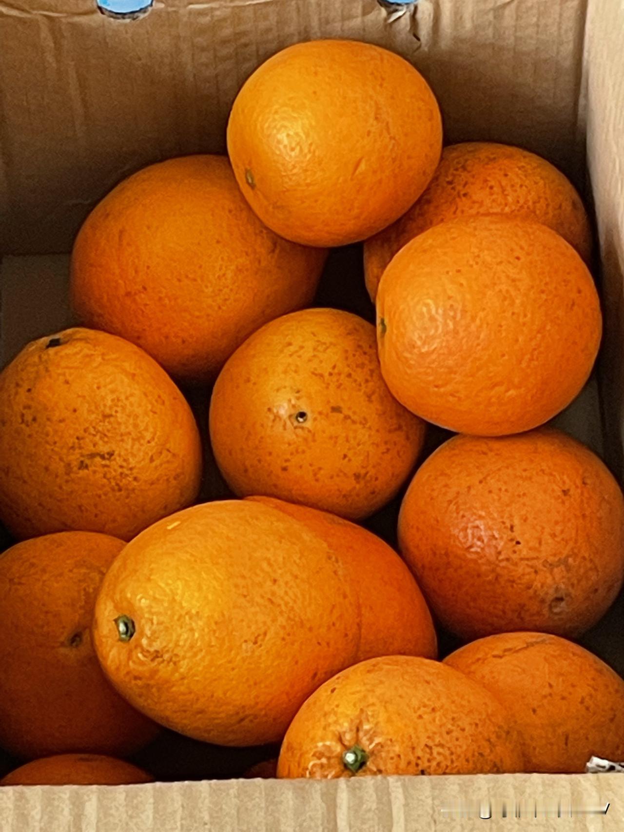 我也是刚抢到道州脐橙，吃上一个后简直惊艳！这橙子不愧是橙子中的上品，甘甜多汁的口