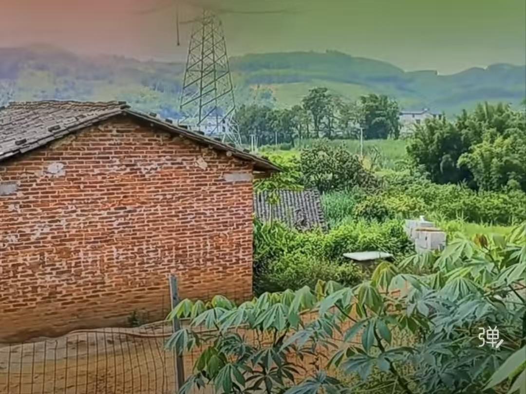 随笔
城里饭菜花样多，
不如家里大铁锅。
妈妈手擀那碗面，
吃完全身暖呵呵。