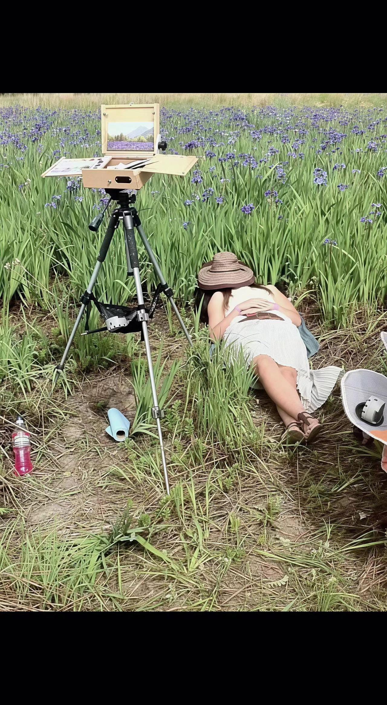 🎨画笔歇在画架上打盹，草帽把阳光酿成梦🌾。颜料未干又怎样？风正替薰衣草续写诗