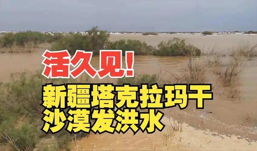 地球真的生病了？塔克拉玛干沙漠迎来暴雨，中国最干的地方发洪水，这是为什么？

向