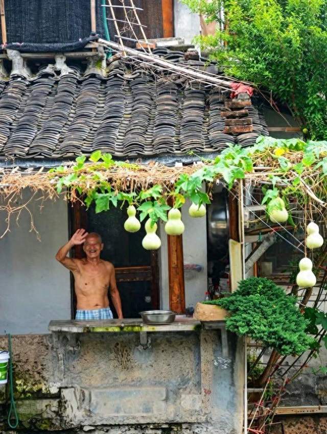 6元买苗结出7个葫芦，爷爷的童真治愈全网泪崩