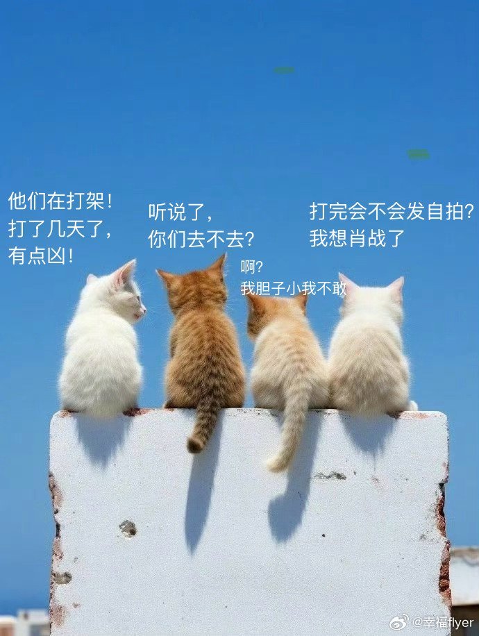 哈哈哈终于有一张让我看起来有点顺心的图了。 