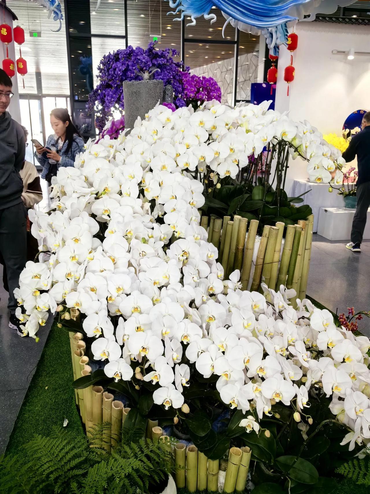 冬日里的山西省太原市植物园热带雨林馆。