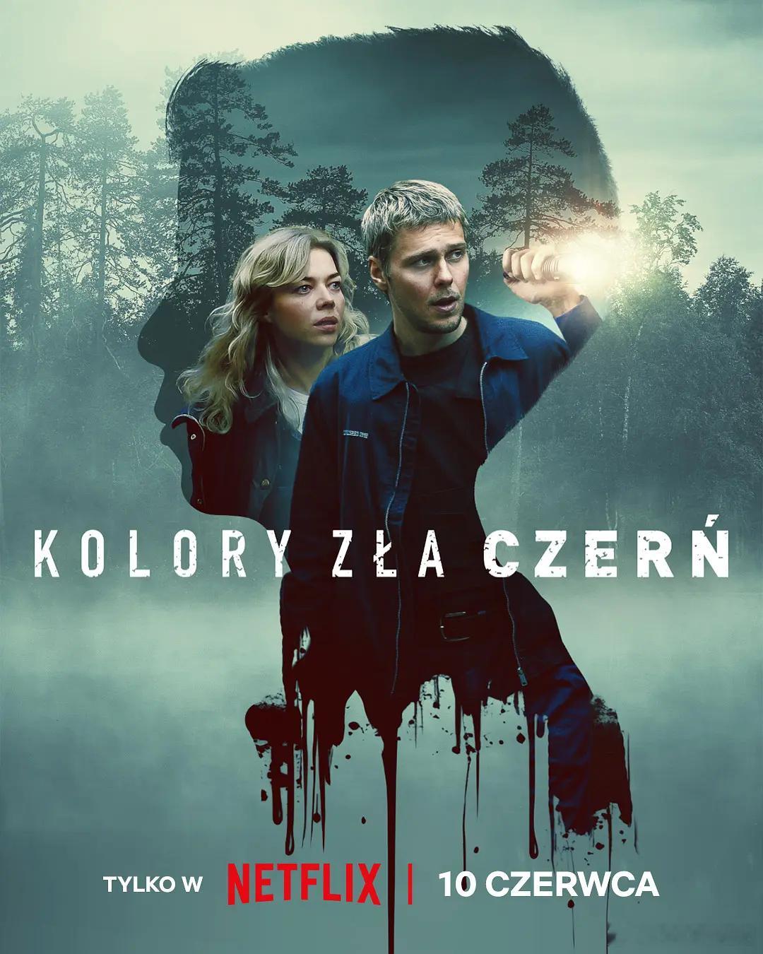 极恶原色：黑暗谜镇 Kolory zła: Czerń (2026)简介：调查偏