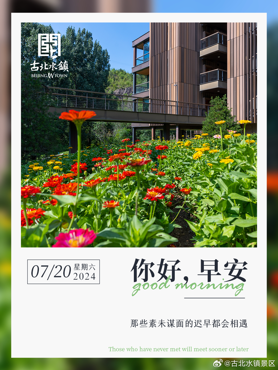 那些素未谋面的迟早都会相遇早安，宝子们~#长城下的星空小镇# #很高兴在古北水镇