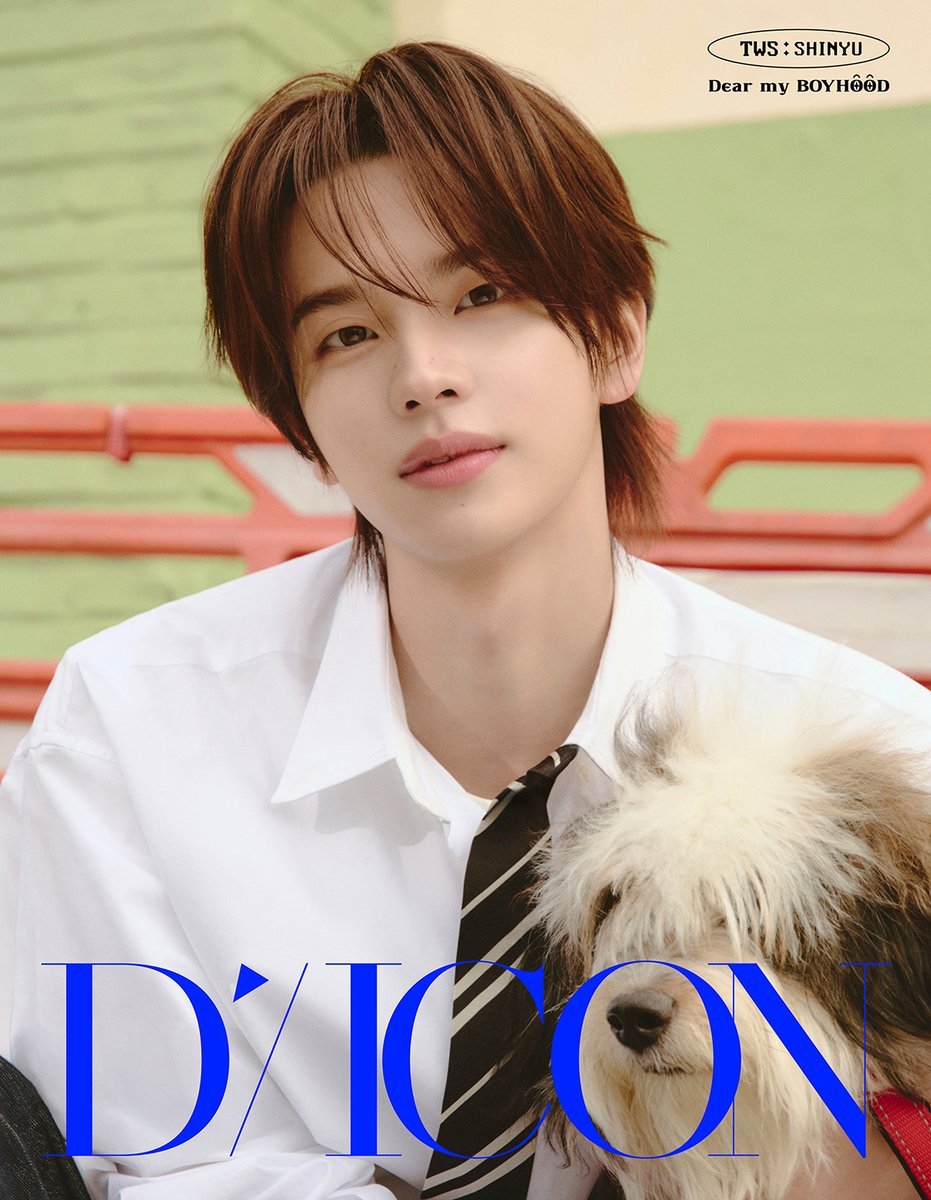 DICON 