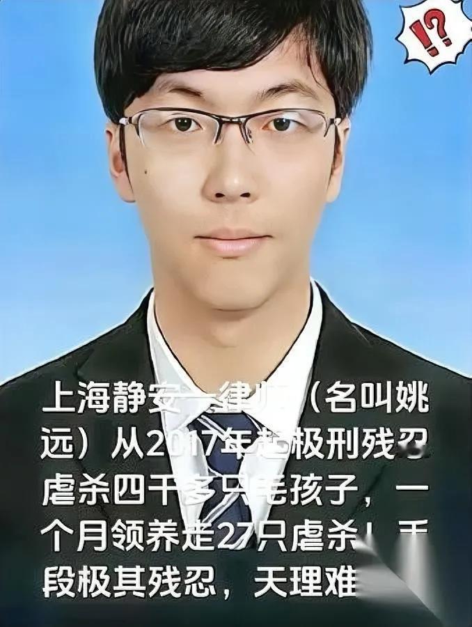 天呐！律师竟干这事？

谁能想到，斯文律师姚远，竟是虐杀四千只猫咪的狠人！从20