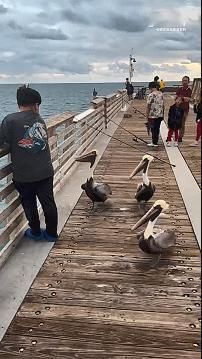 你懂我意思吧！ 