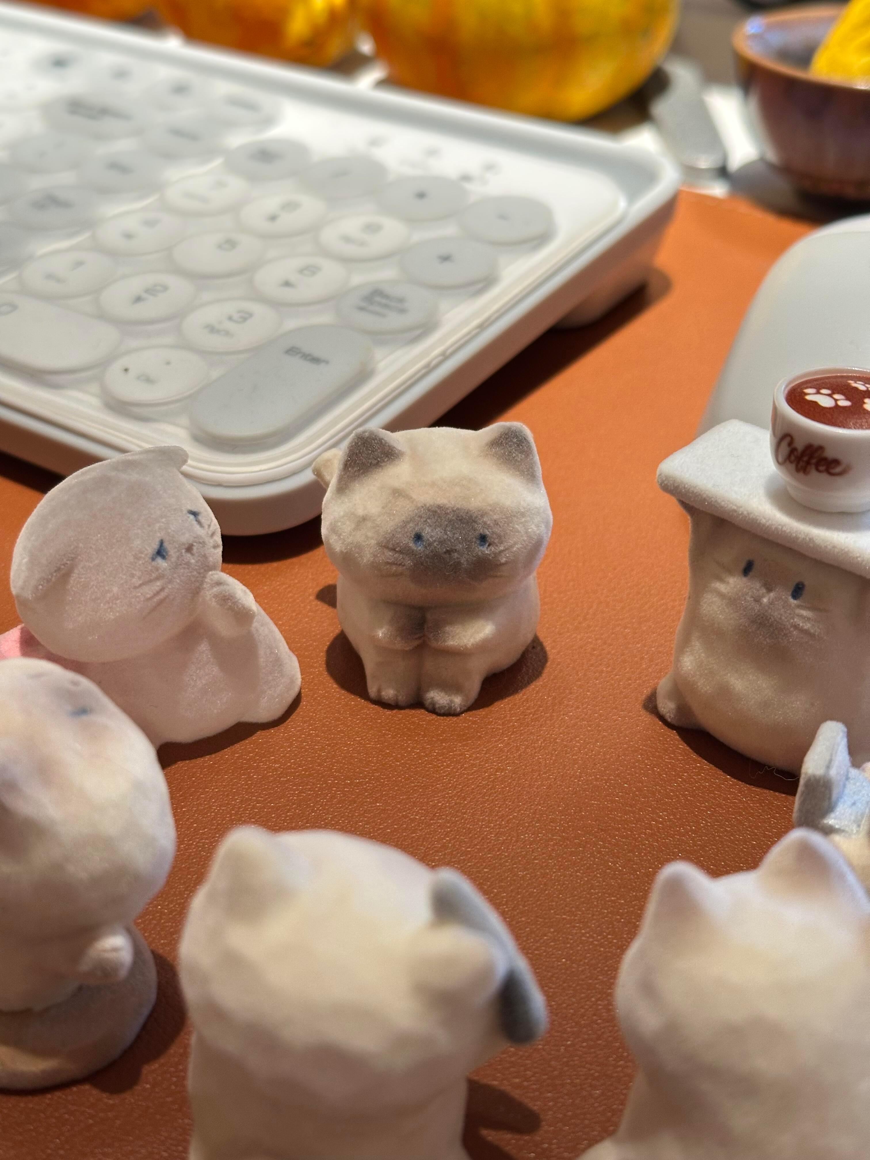 谁懂工位小猫猫的治愈力！毛茸茸的治愈时刻，被这只小猫狠狠拿捏了！🥹每天都想回家