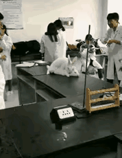 这生物课可没白上