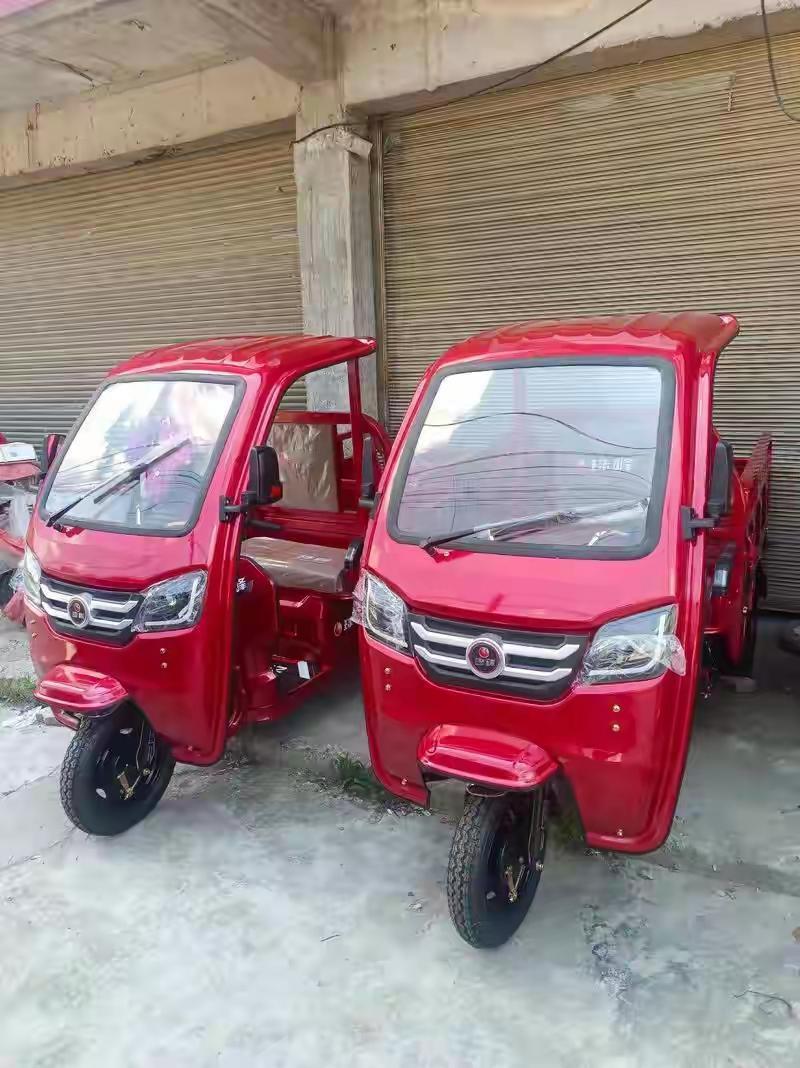 游客在瑞典小岛偶遇中国电动“三蹦子”：纳闷怎么运过去的，车主还是外国人当传统与现