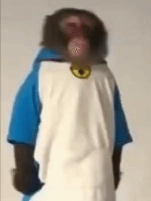 第五人格[超话] 大家在第五人格练的最长的角色是啥啊 