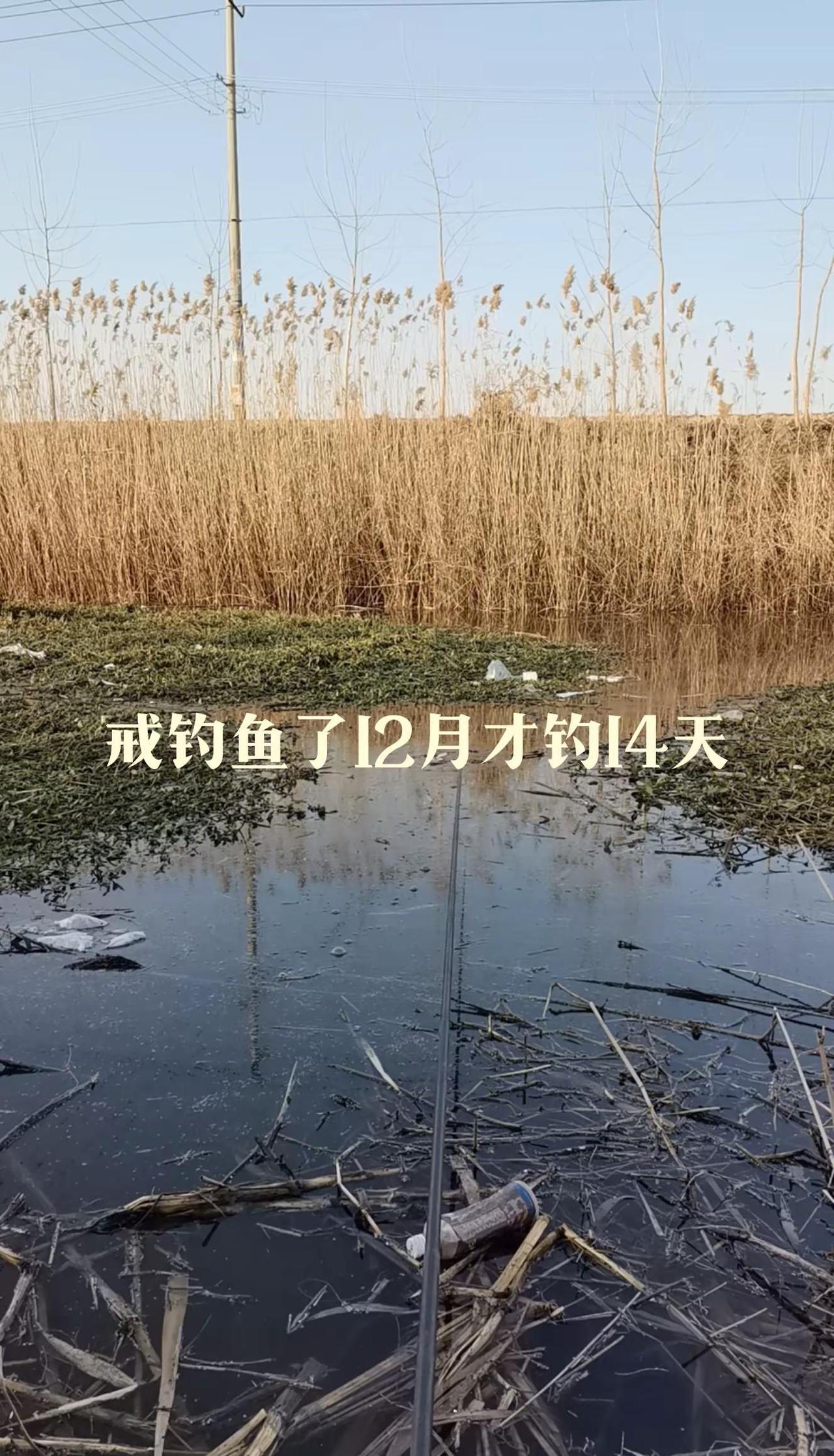 别再嘲笑钓鱼佬了，他们正在偷偷治愈你的城市病。
上周末，我在河边枯坐三小时。
浮