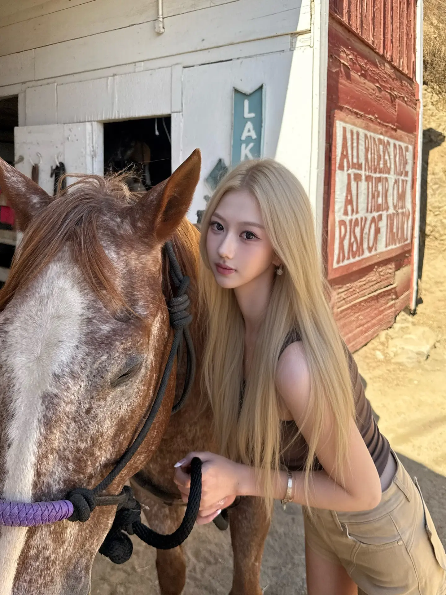 🐎