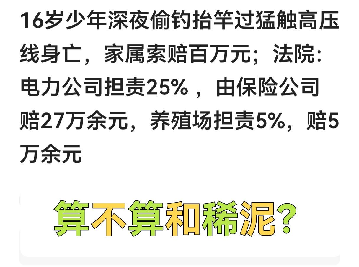 偷东西的怎么还有理了？都已经成年了，应该为自己行为负责！偷钓人家的鱼自己不小心出