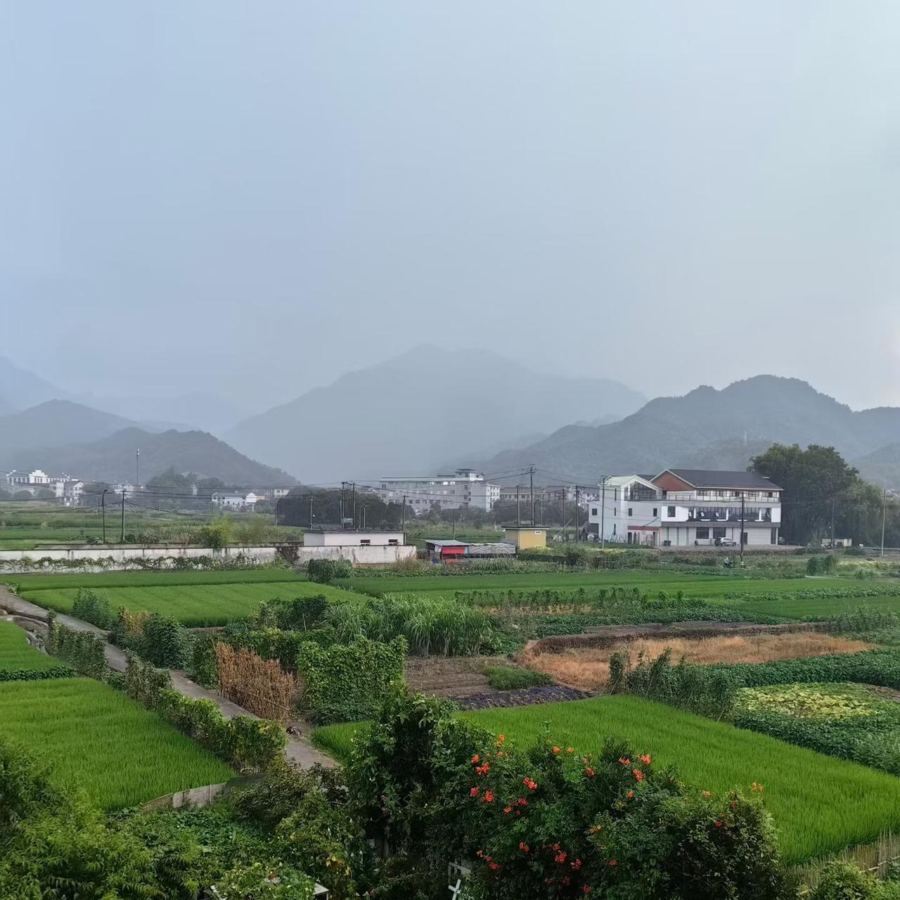 很多普通人一辈子的悲剧，不是无路可走，而是前路万条，条条热闹，却没有一条真正属于