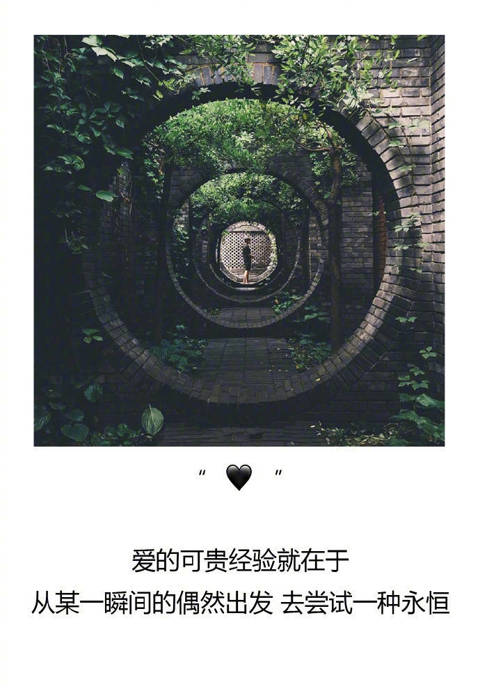 △活着就意味着必须要做点什么，请好好努力。