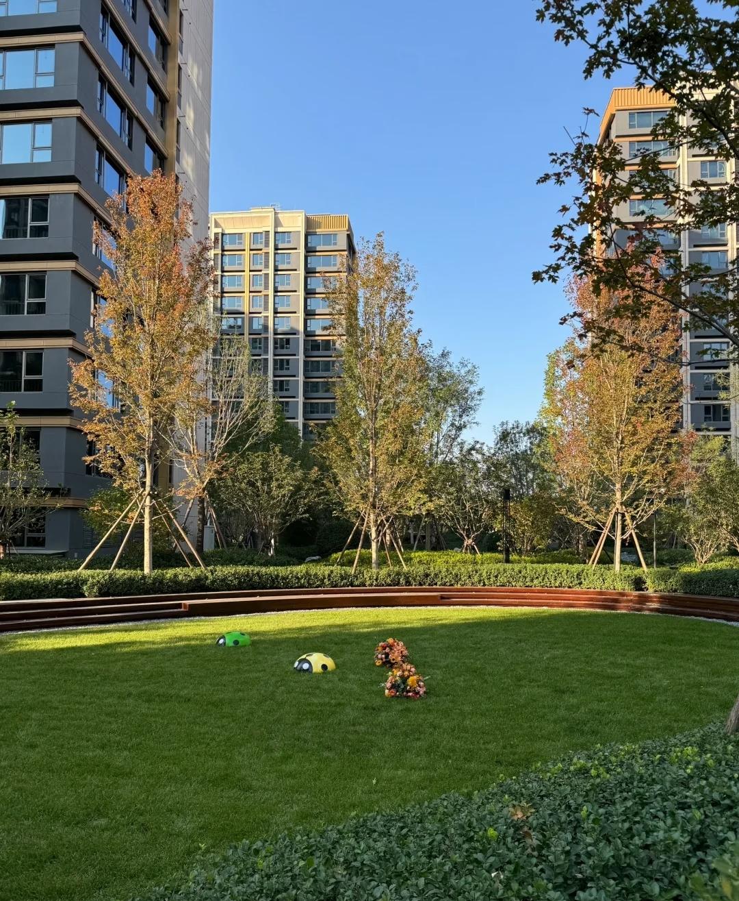 初中女同学普本毕业，在北京花400万买房，现户口已落。
同学群里冷嘲热讽：我有个