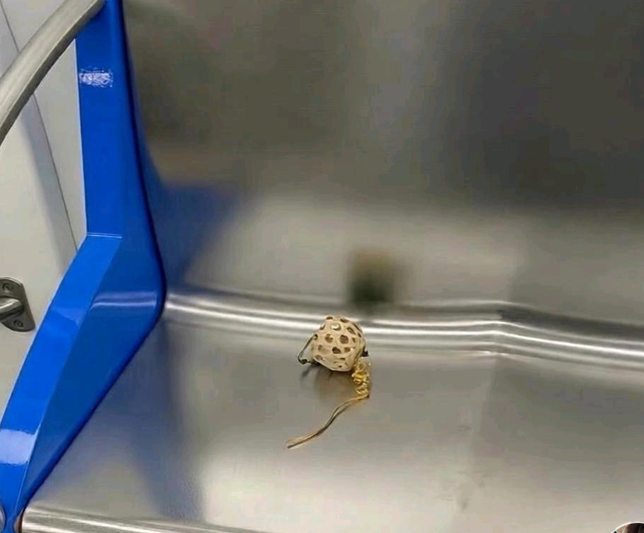 地铁又多了一个伤心的人 ​​​