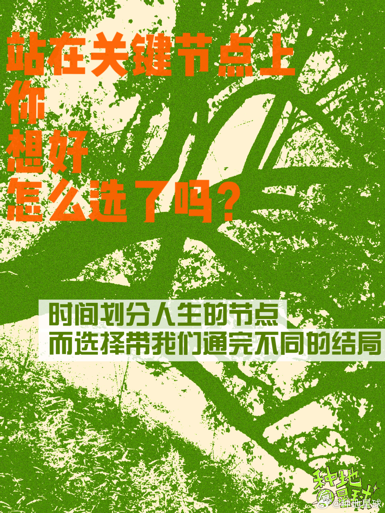 毕业季来临，人生的下一站该去哪里？我们像地里的一棵树🌳有时候不懂该怎么长？还好
