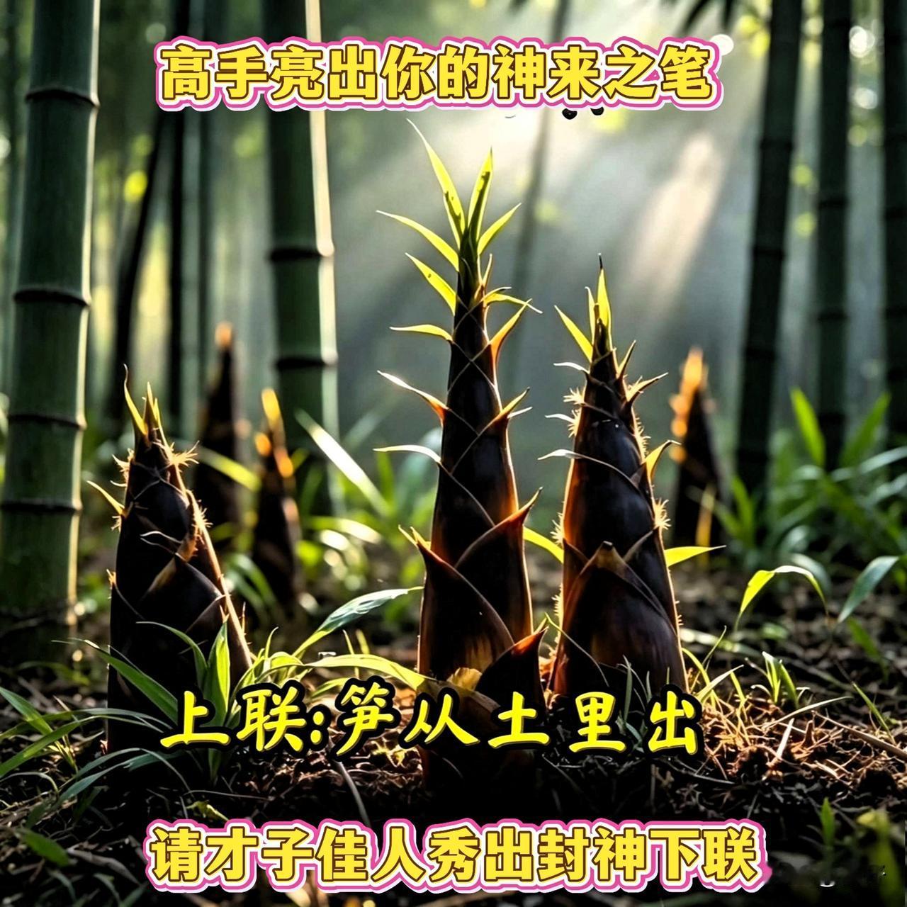 看到上联瞬间就上头了！
“笋从土里出”
这意境直接拉满！
有没有才子佳人来对个下