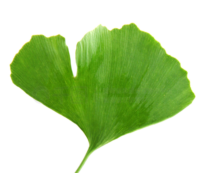 被某粉圈骂了这么多年，我平时发言都是尽量谨慎甚至车轱辘的，比如昨天说某“三发重型