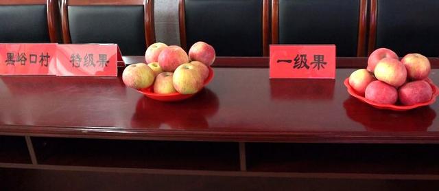 酸甜可口的苹果又来了，最便宜的仅1元1斤~