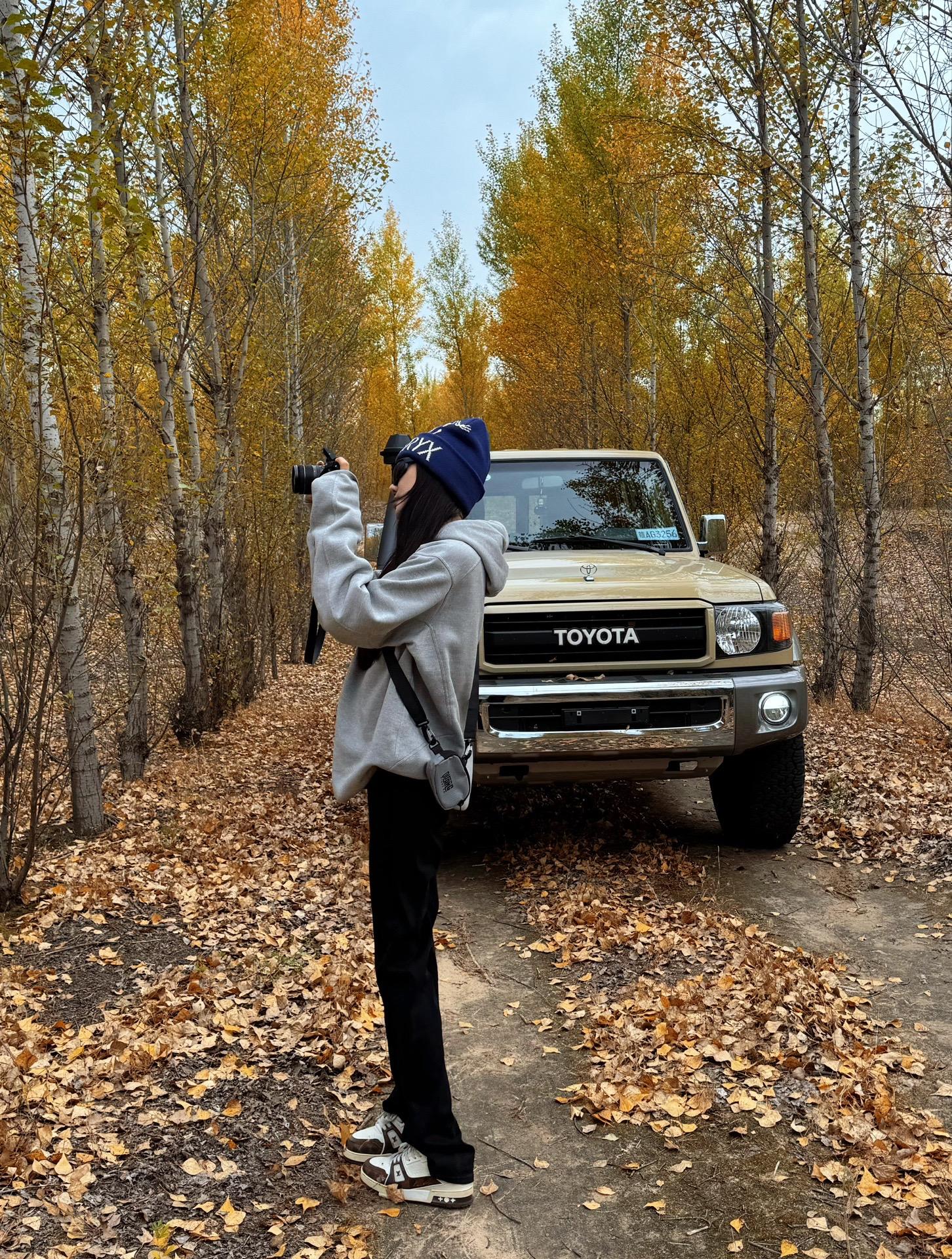 我和Toyota 的秋天