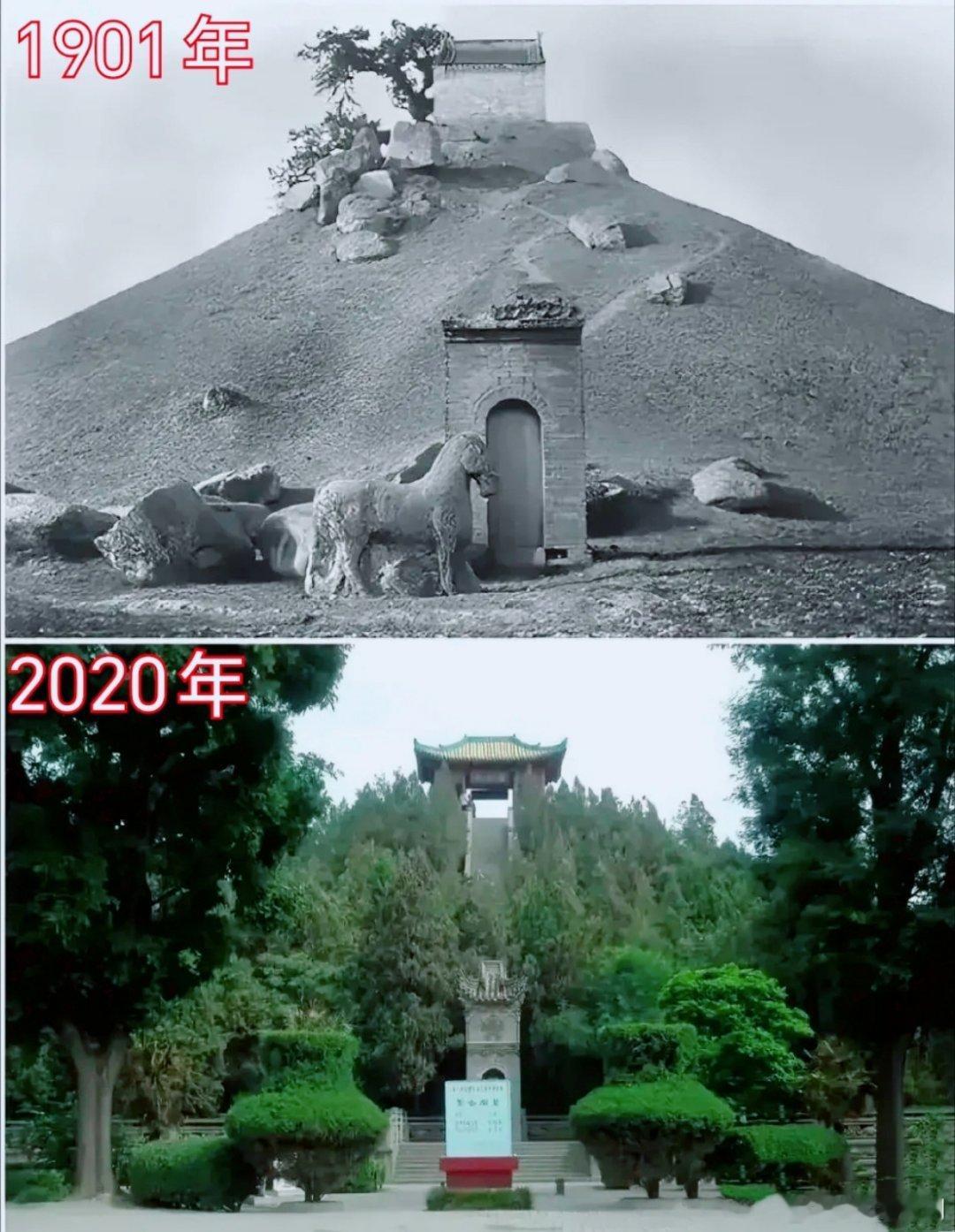 为啥大清山上，到处都光秃秃的？[黑线] 