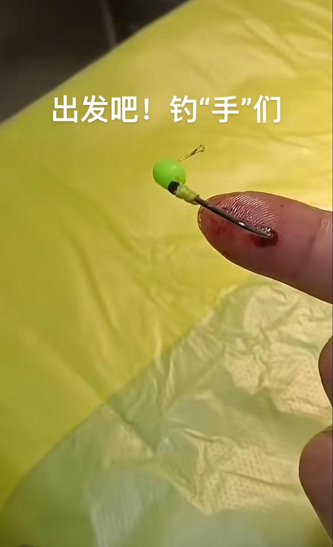 这应该是今年钓的最大的一个！#钓鱼的乐趣只有钓鱼人懂 #钓鱼人就是这么疯狂 #我