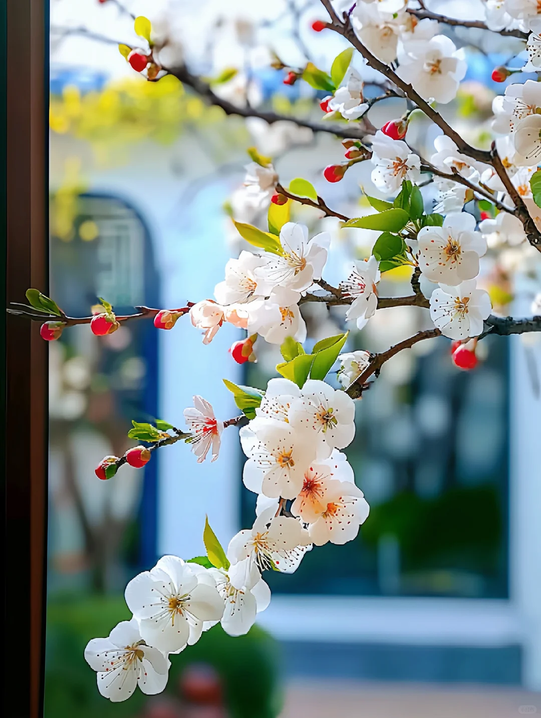 芬芳优雅花枝俏