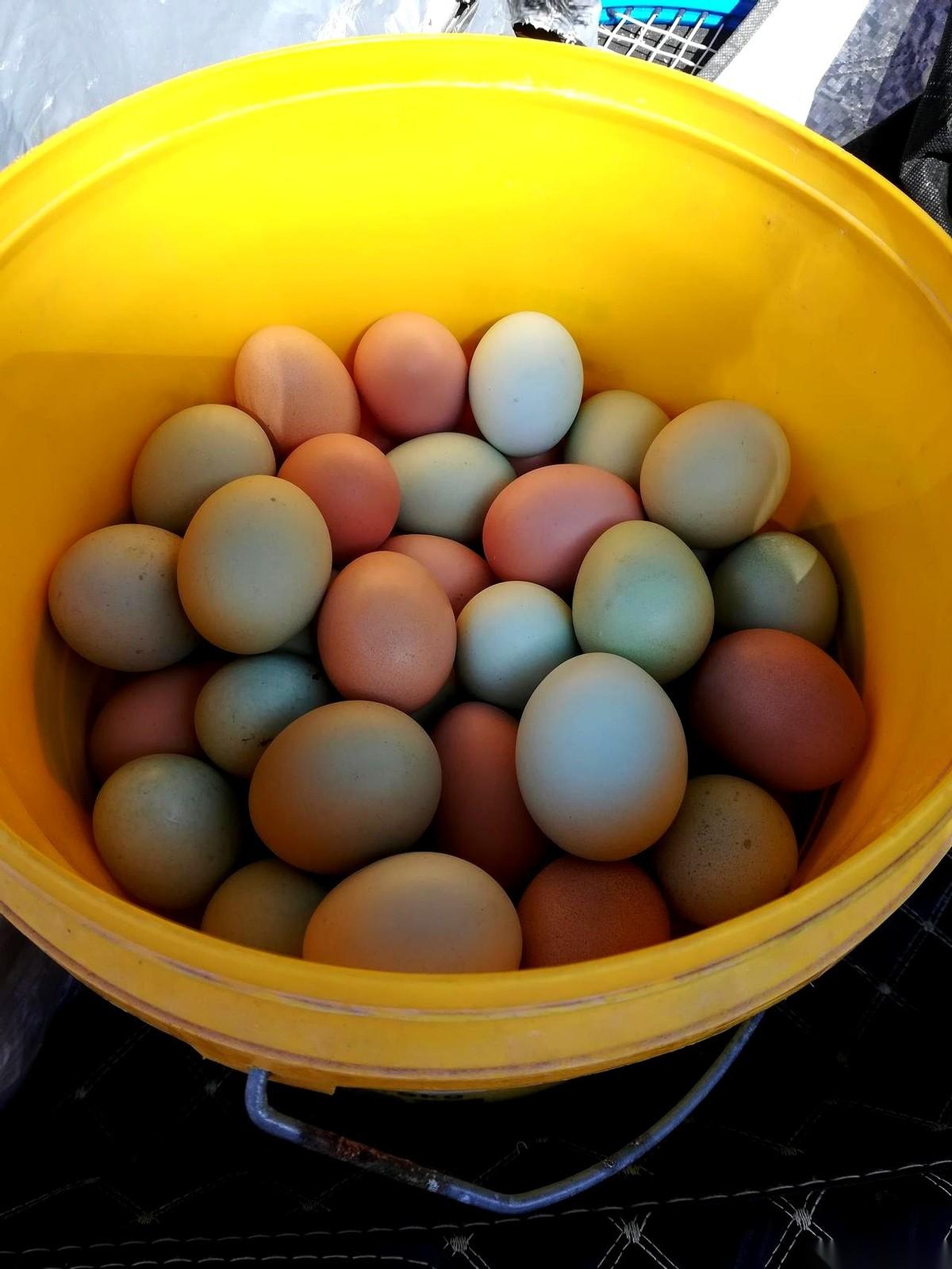 强子妈把一篮子鸡蛋塞我手里的时候，手劲大得像铁钳。
她说，这些，都是给你的。
我