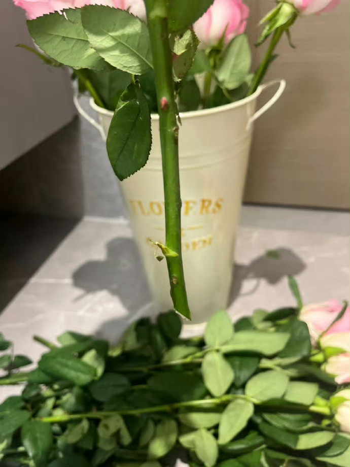 再一次证明网购鲜花醒花有多重要！ 