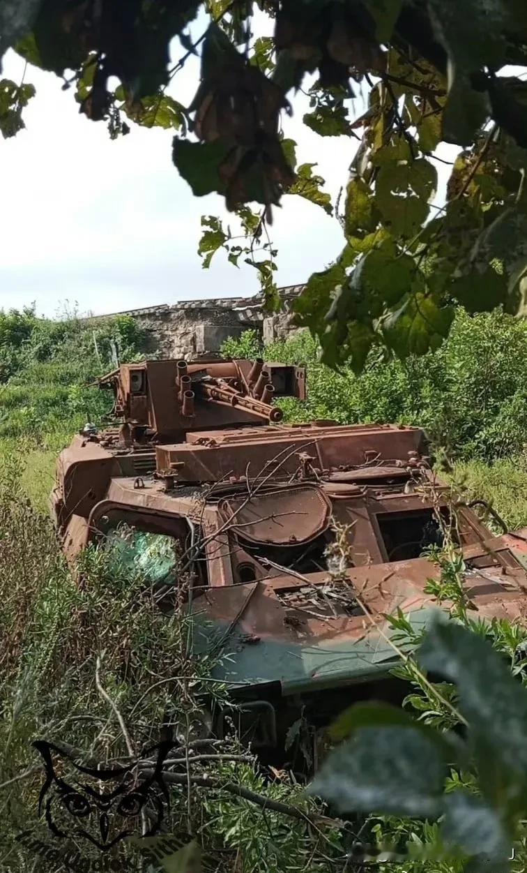 图一二，在去年夏季大反攻中乌军被摧毁的一辆BTR-4E里，意外发现了一条乌克兰士