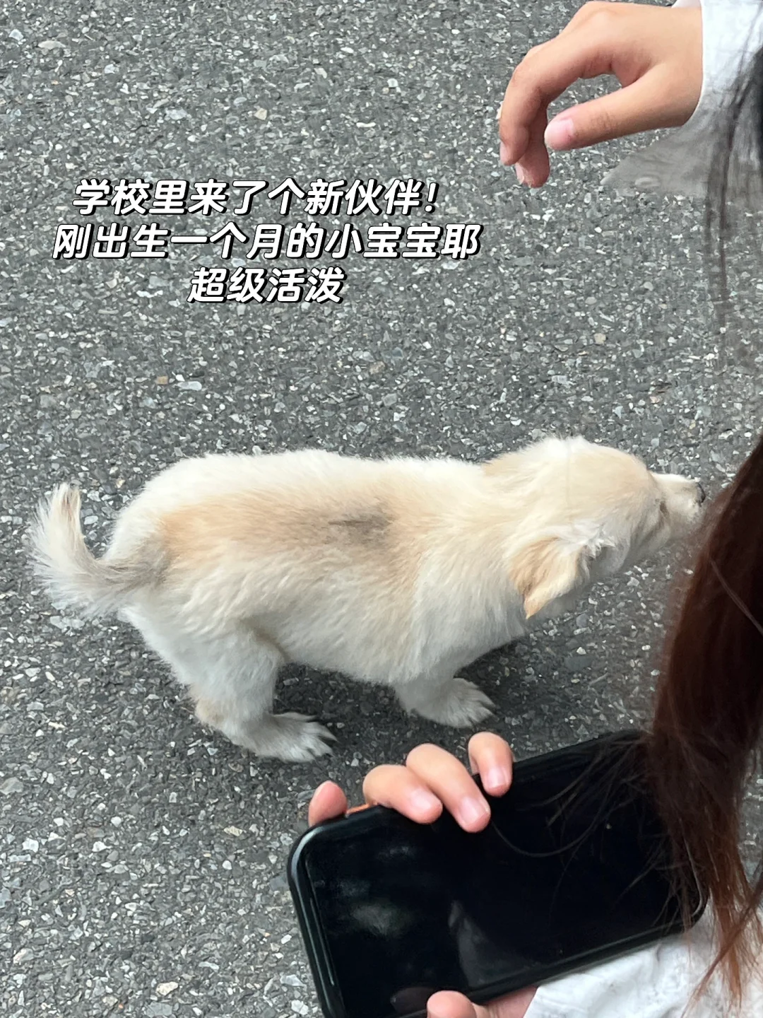 医学生👩🏻‍⚕️又拿了一年三等奖学金啦