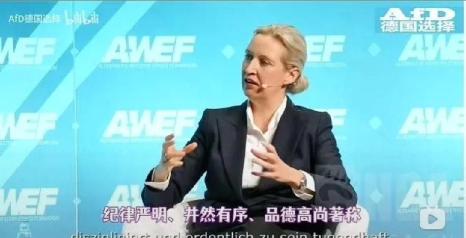 德国人魏德尔提到德国声誉受损，挺值得琢磨。魏德尔有6年中国工作经历，她见证了中国