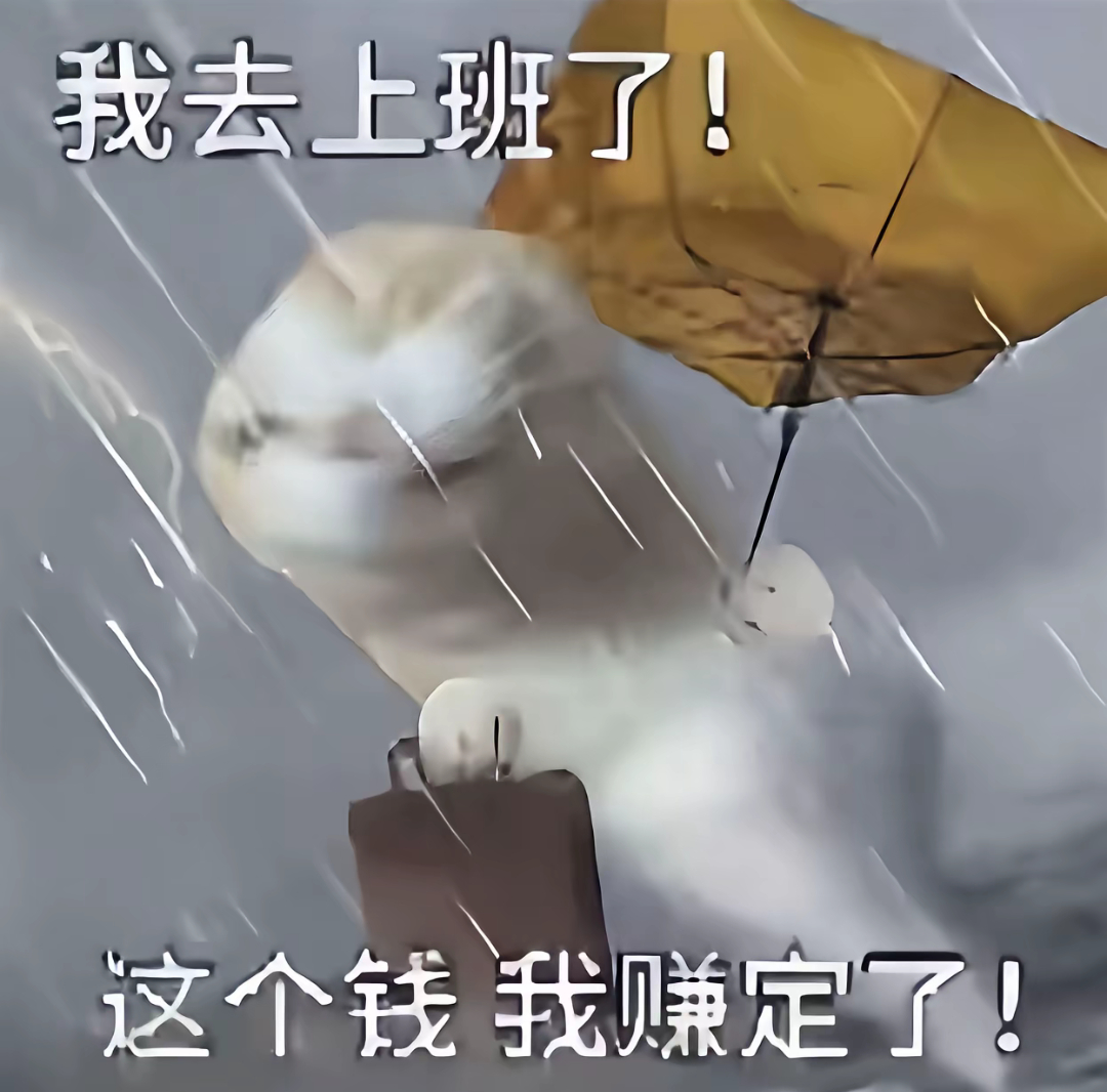 我每天。 