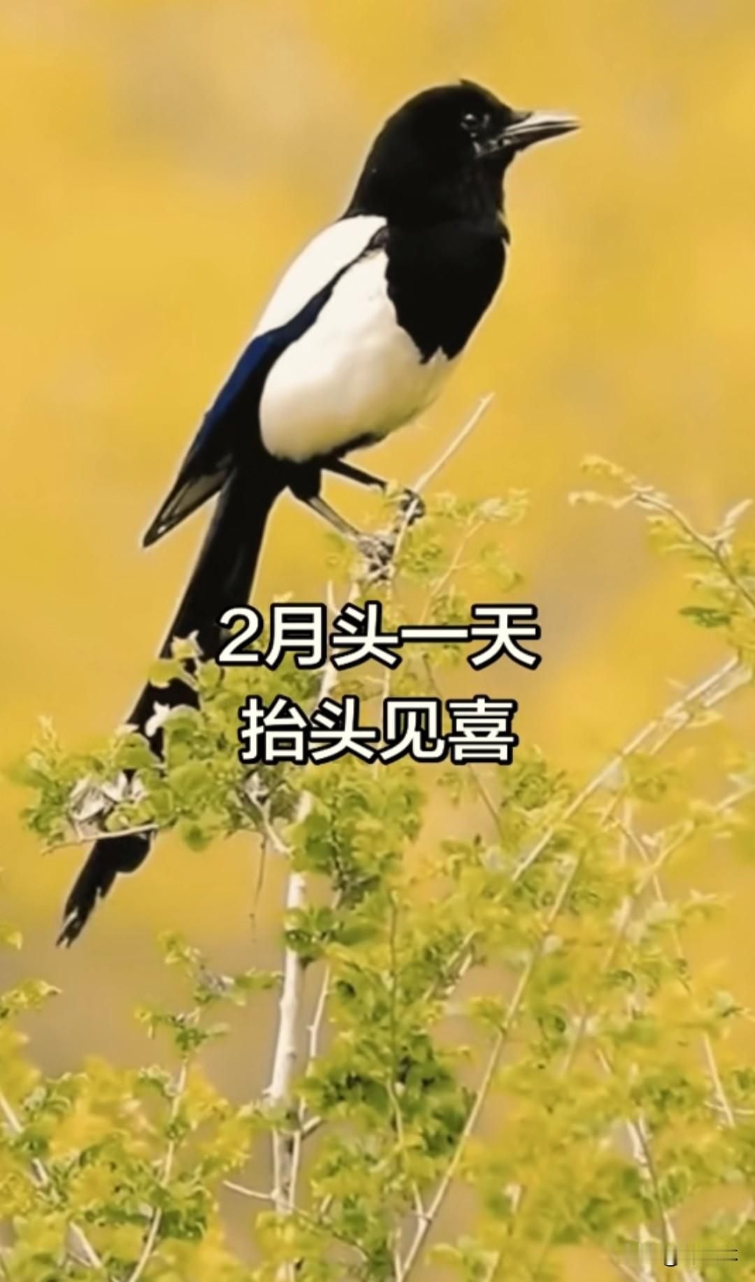 ②🈷️第一天
抬头见喜