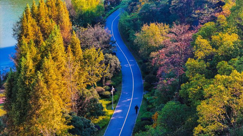 读《近思录》之2.77　

谢显道见伊川，伊川曰：近日事如何？对曰：天下何思何虑