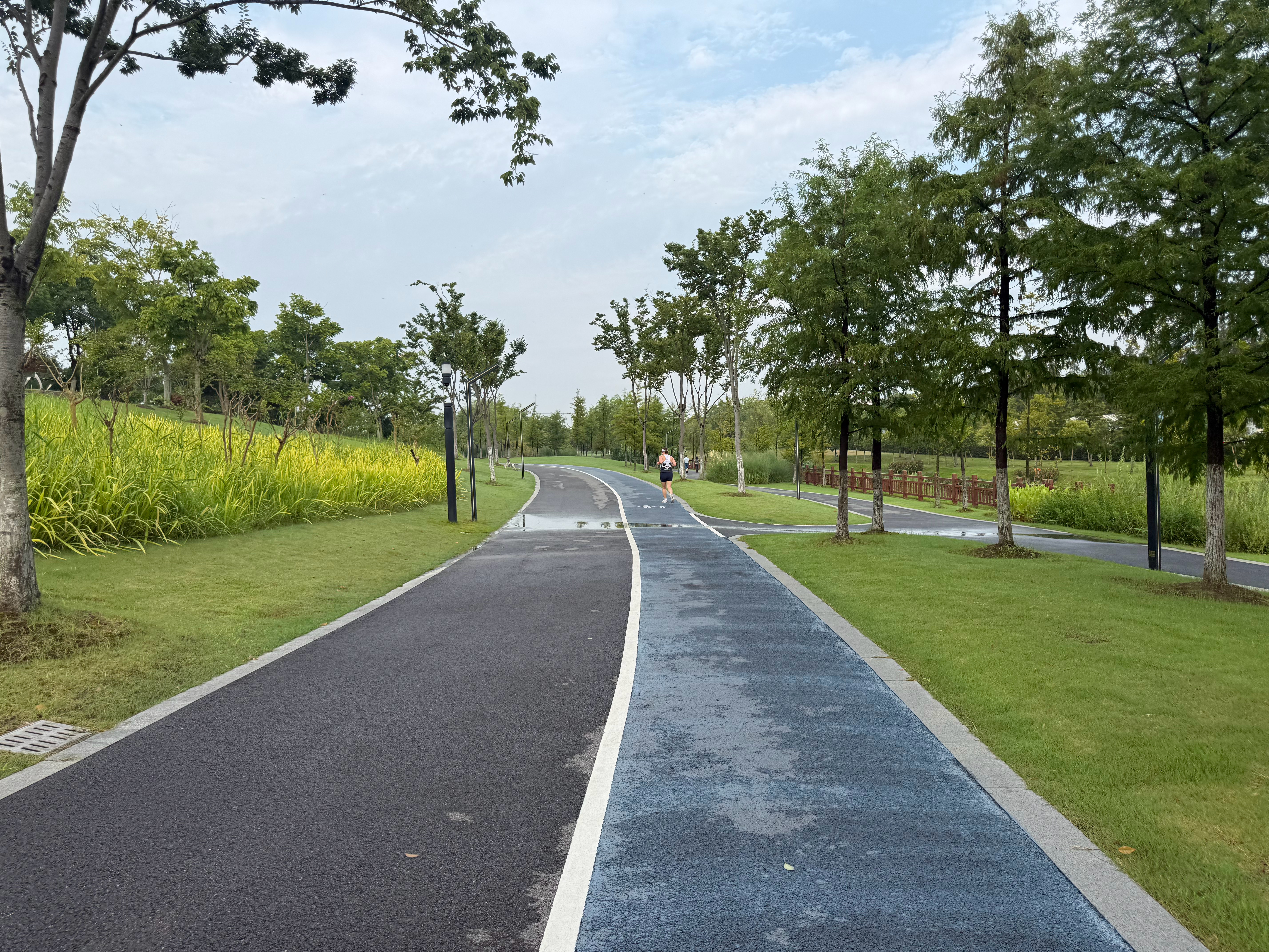 跑步  跑步日记：2026年7月19日星期日，每天跑步一公里，连续跑步打卡-第2