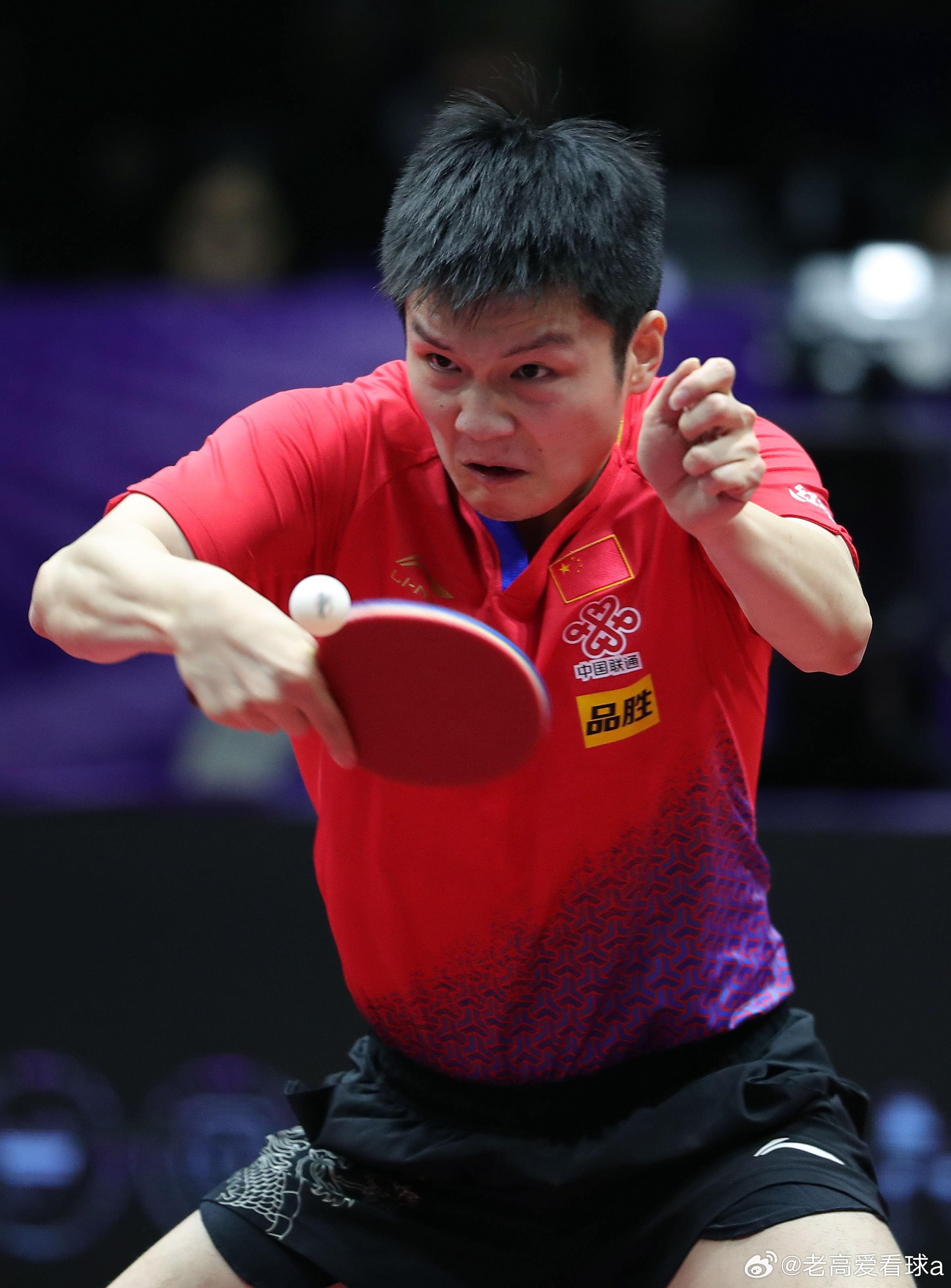 樊振东率队向冠军发起冲击Final Four，樊振东带着萨尔布吕肯来了！北京时间