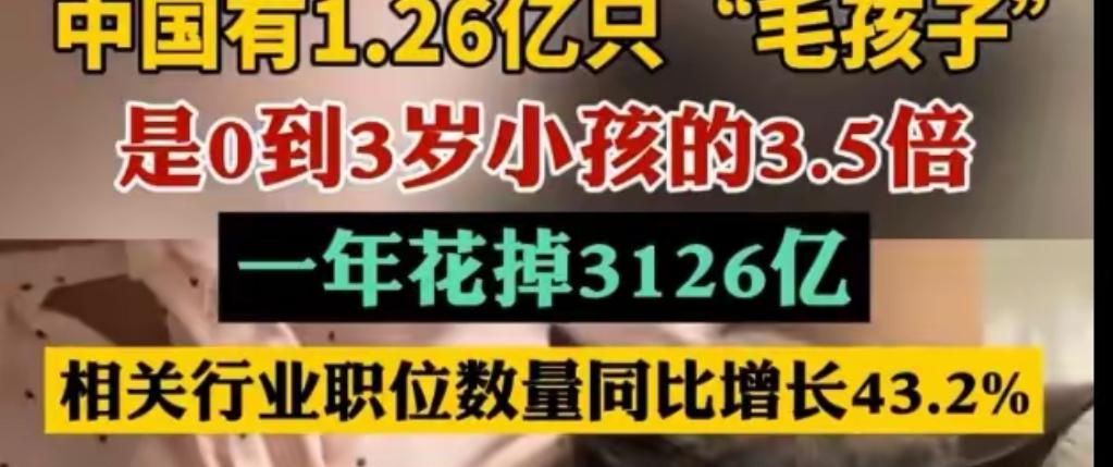 一组对比数据引发全网热议：据《2026中国宠物行业白皮书》，我国城镇犬猫数量达到