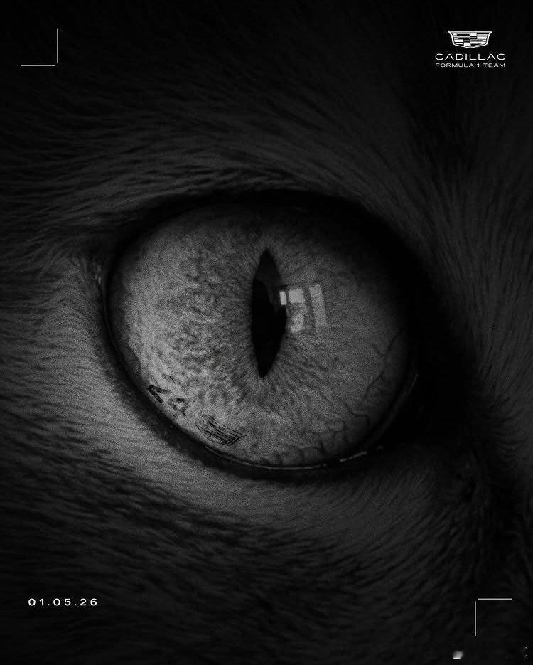 周冠宇 凯迪拉克 周冠宇今天刚确认离开法拉利，再看凯迪拉克 F1 那张海报，信息