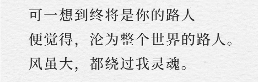 细看这整首诗处处有对应……“可一想到终将是你的路人便觉得，沦为整个世界的路人”这