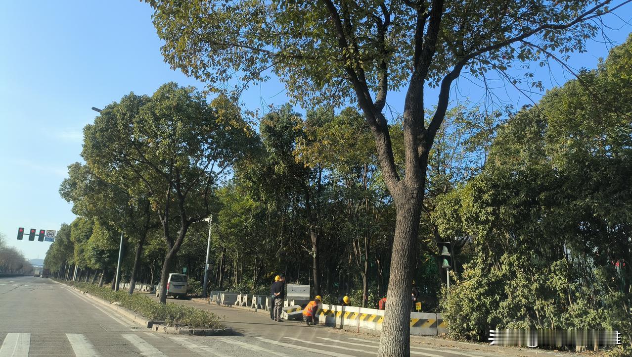 这就是北仑打通小港到另一条枢纽，坝头西路西延，已经快与北仑段交接了呢？
北仑段已